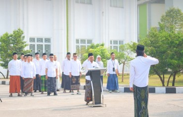 image or article